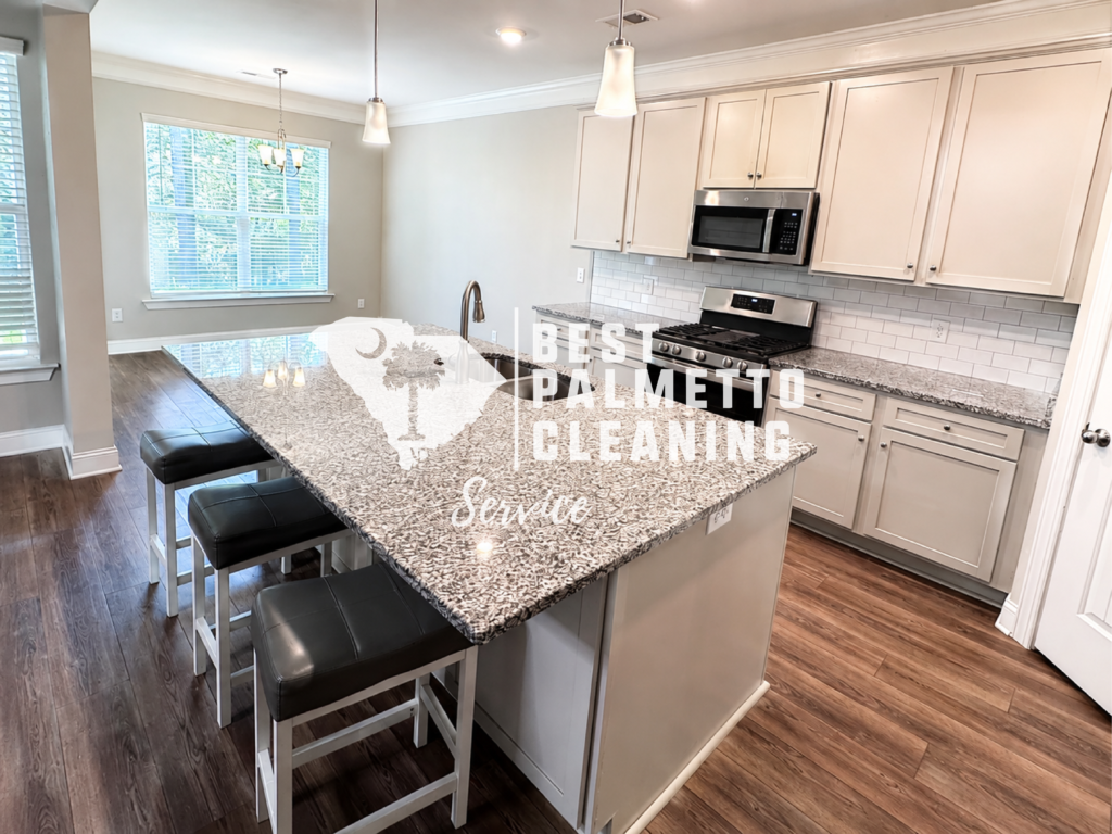 about best palmetto cleaning