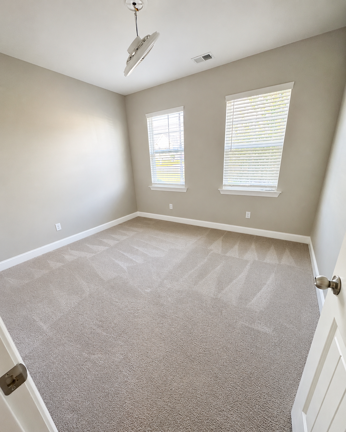 best palmetto cleaning carpet cleaning