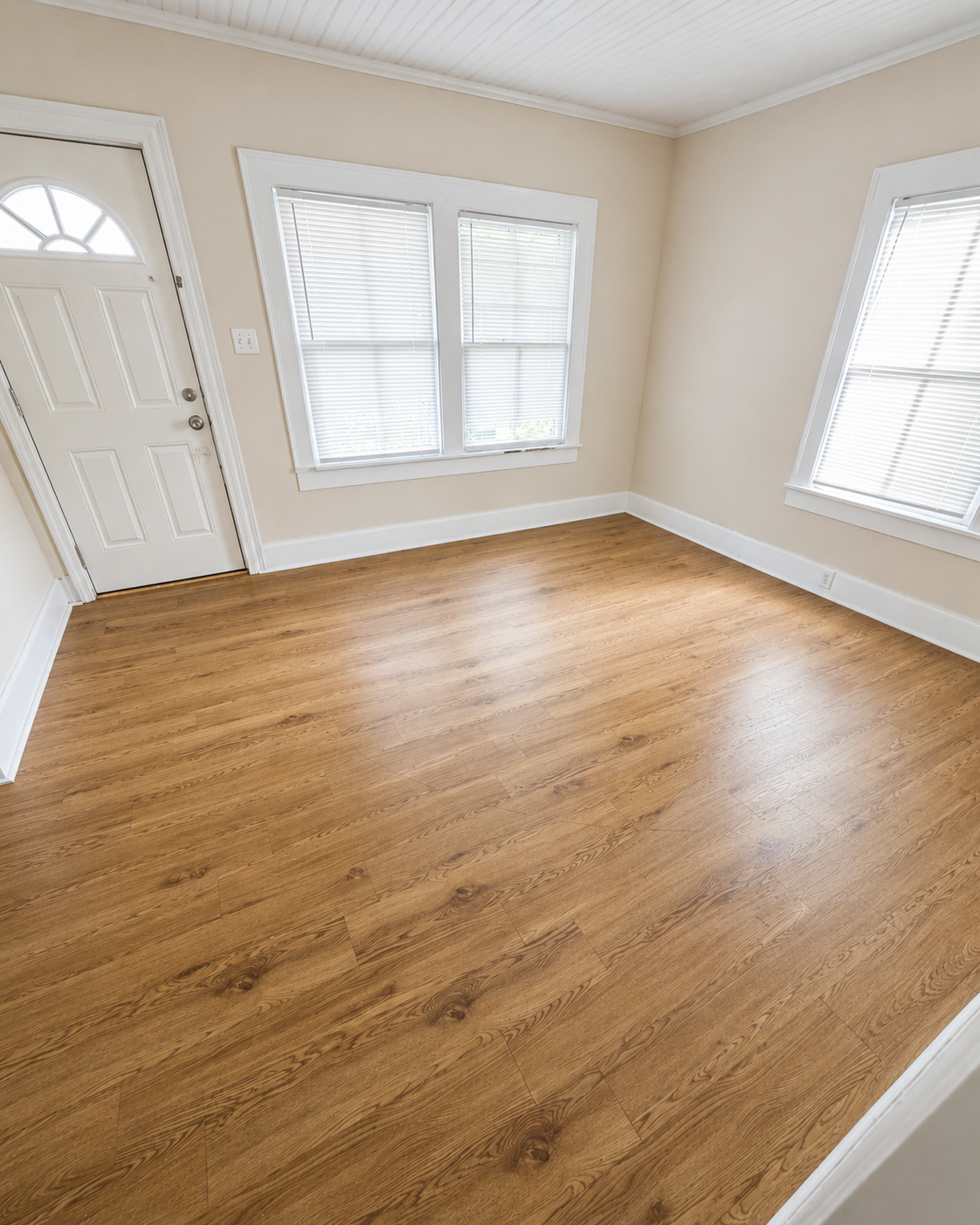 best palmetto cleaning entrance cleaning
