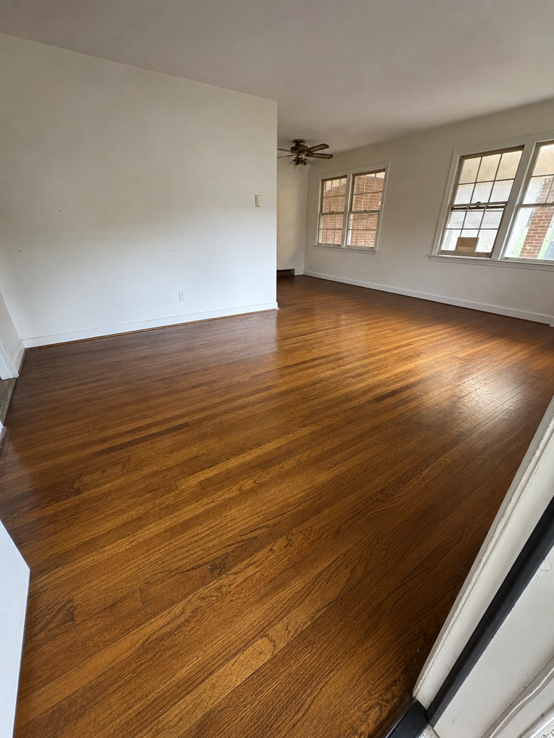best palmetto cleaning front cleaning 1