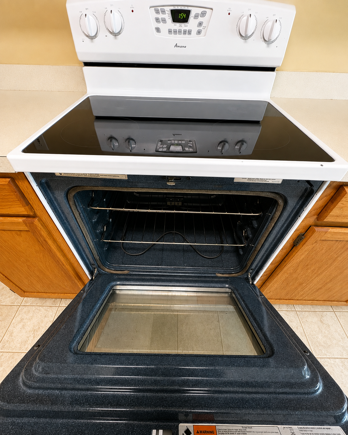 best palmetto cleaning stove cleaning